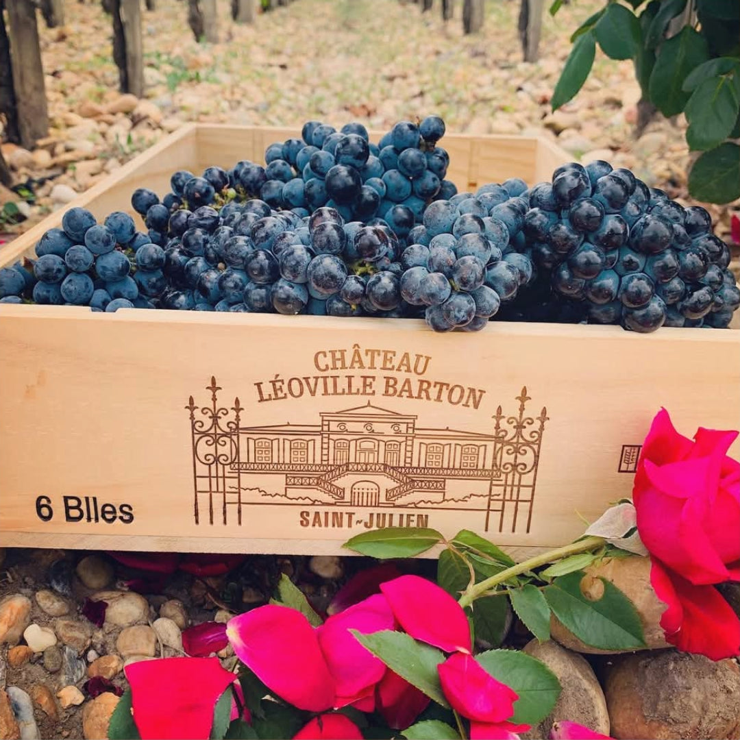 Chateau Leoville Barton Cru Classe Saint-Julien