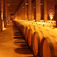 Benegas Estate Finca Libertad Single Vineyard Sangiovese