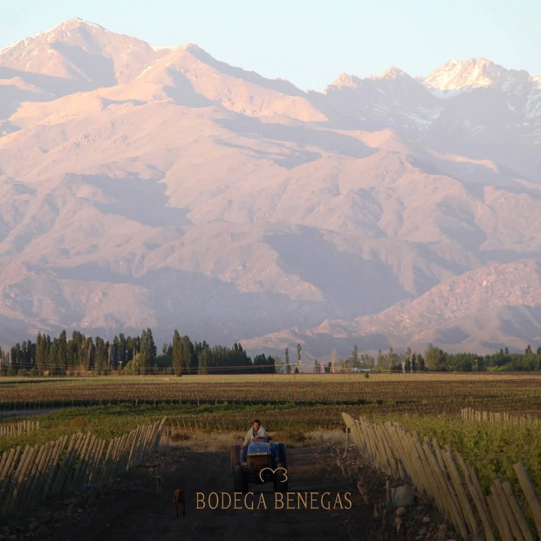 Benegas Estate Finca Libertad Single Vineyard Sangiovese