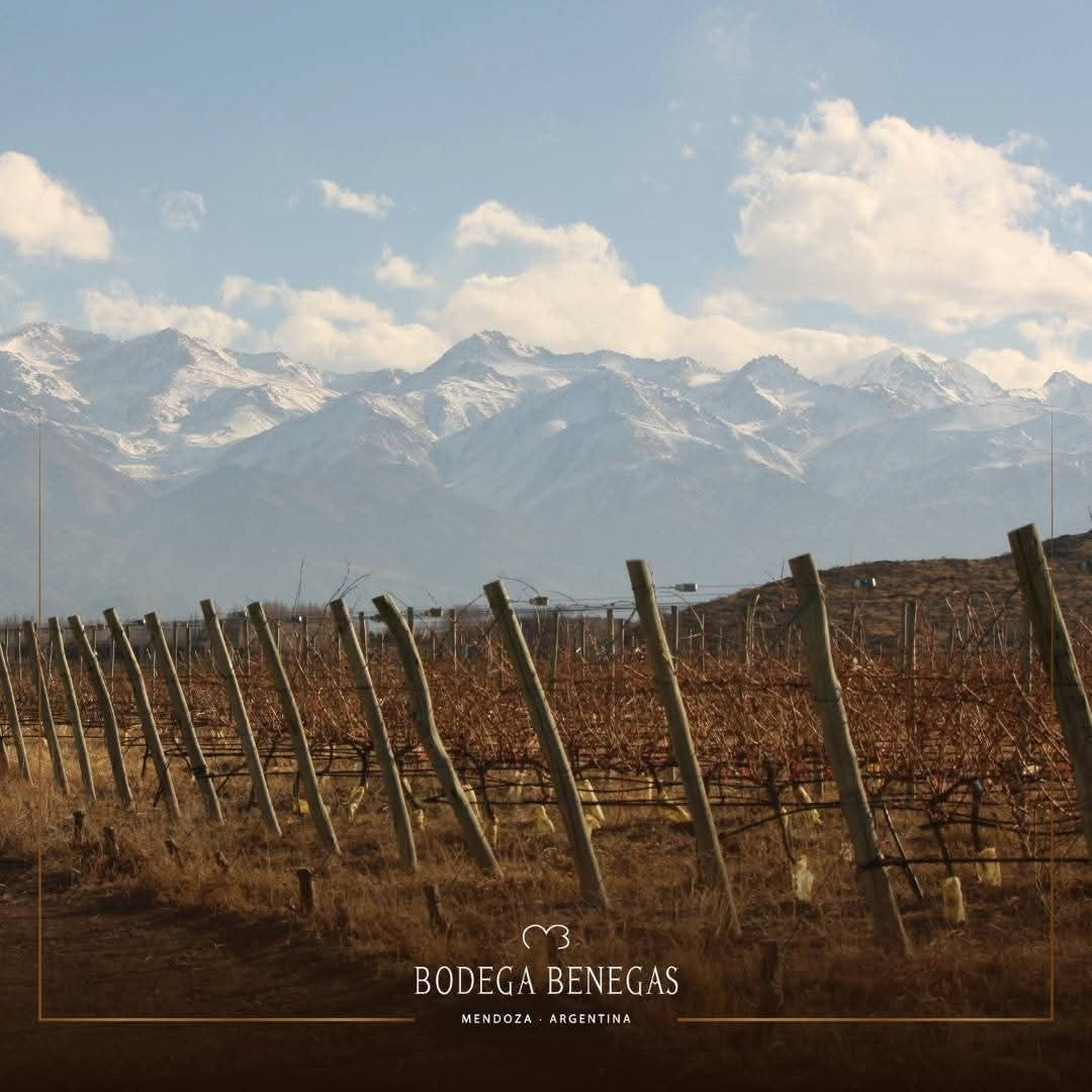 Benegas Estate Finca Libertad Single Vineyard Sangiovese
