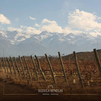 Benegas Estate Finca Libertad Single Vineyard Sangiovese