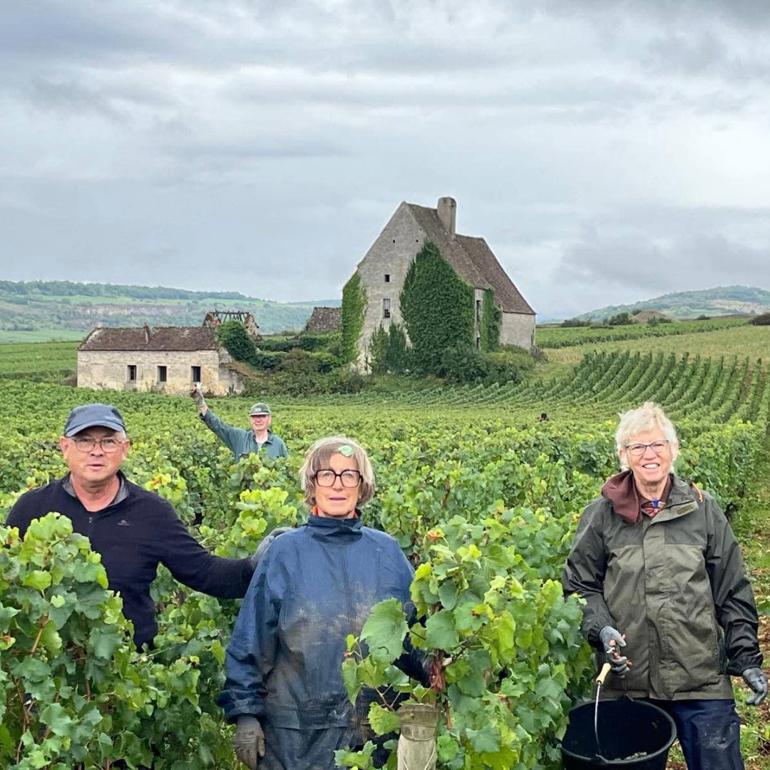 Domaine Berthelemot Pommard Village