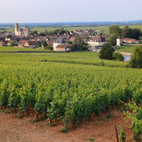 Domaine Berthelemot Pommard Village