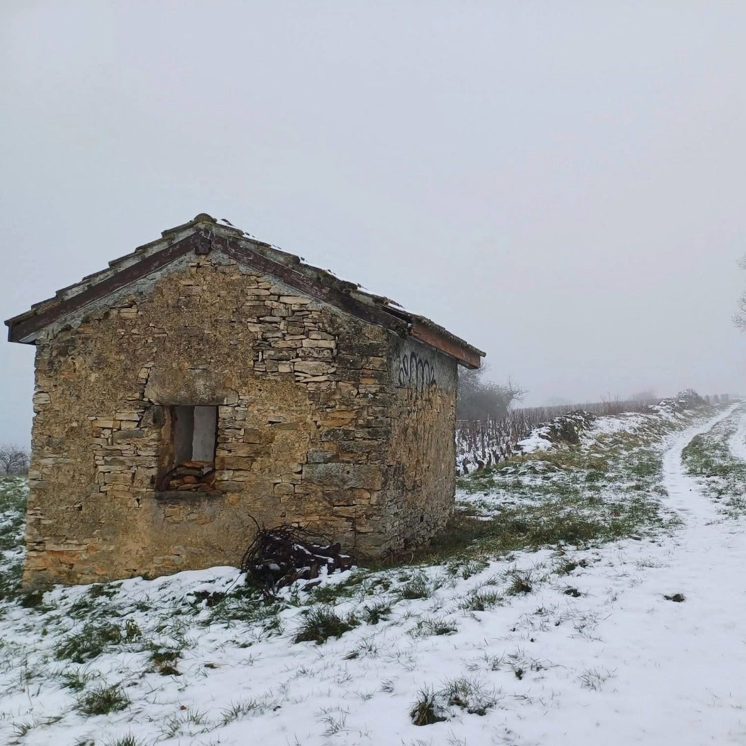 Domaine Berthelemot Pommard Village