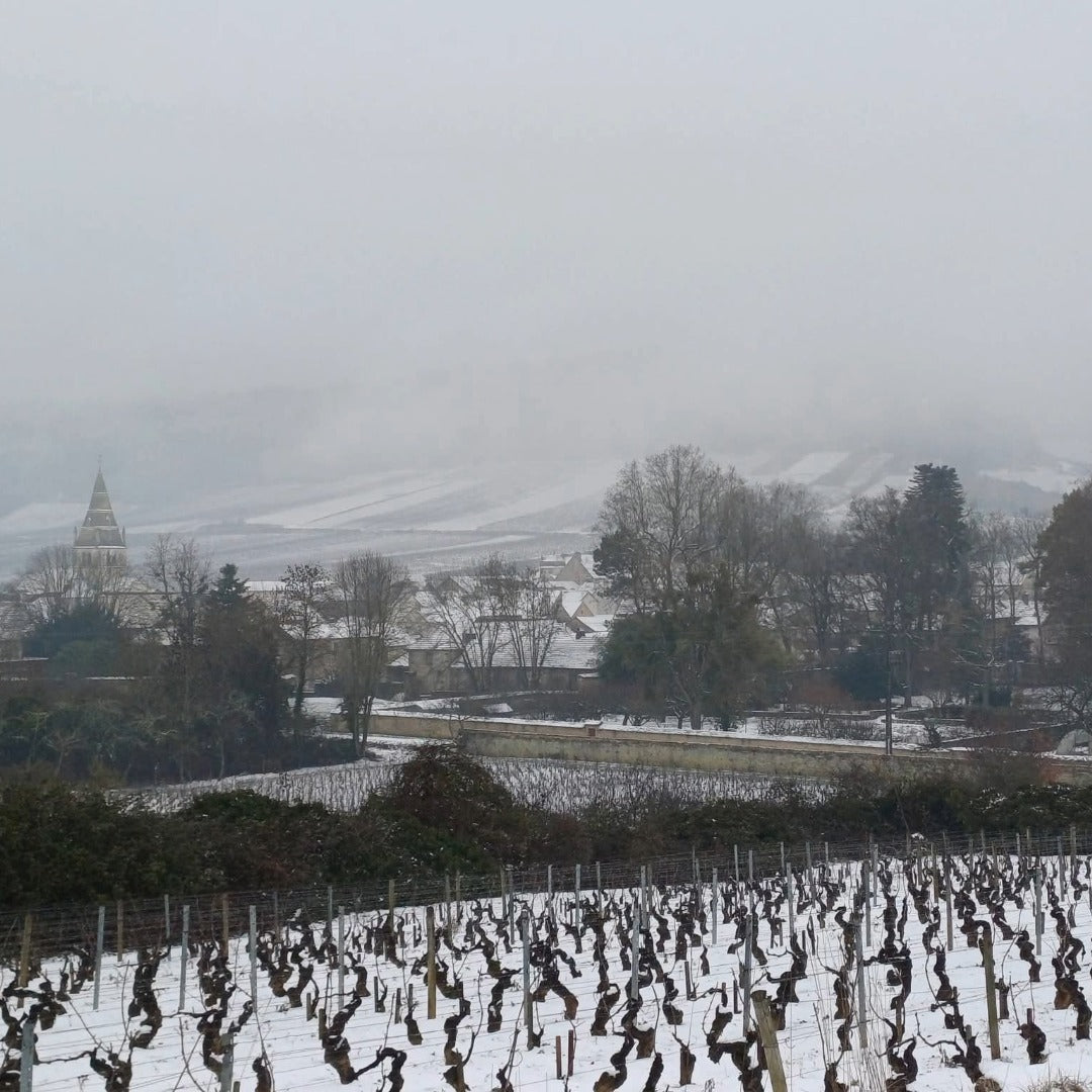 Domaine Berthelemot Pommard Village