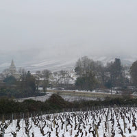 Domaine Berthelemot Pommard Village
