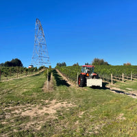 Bethany Old Quarry Tawny