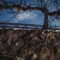 Finca Los Primos Chenin Blanc/Torrontes