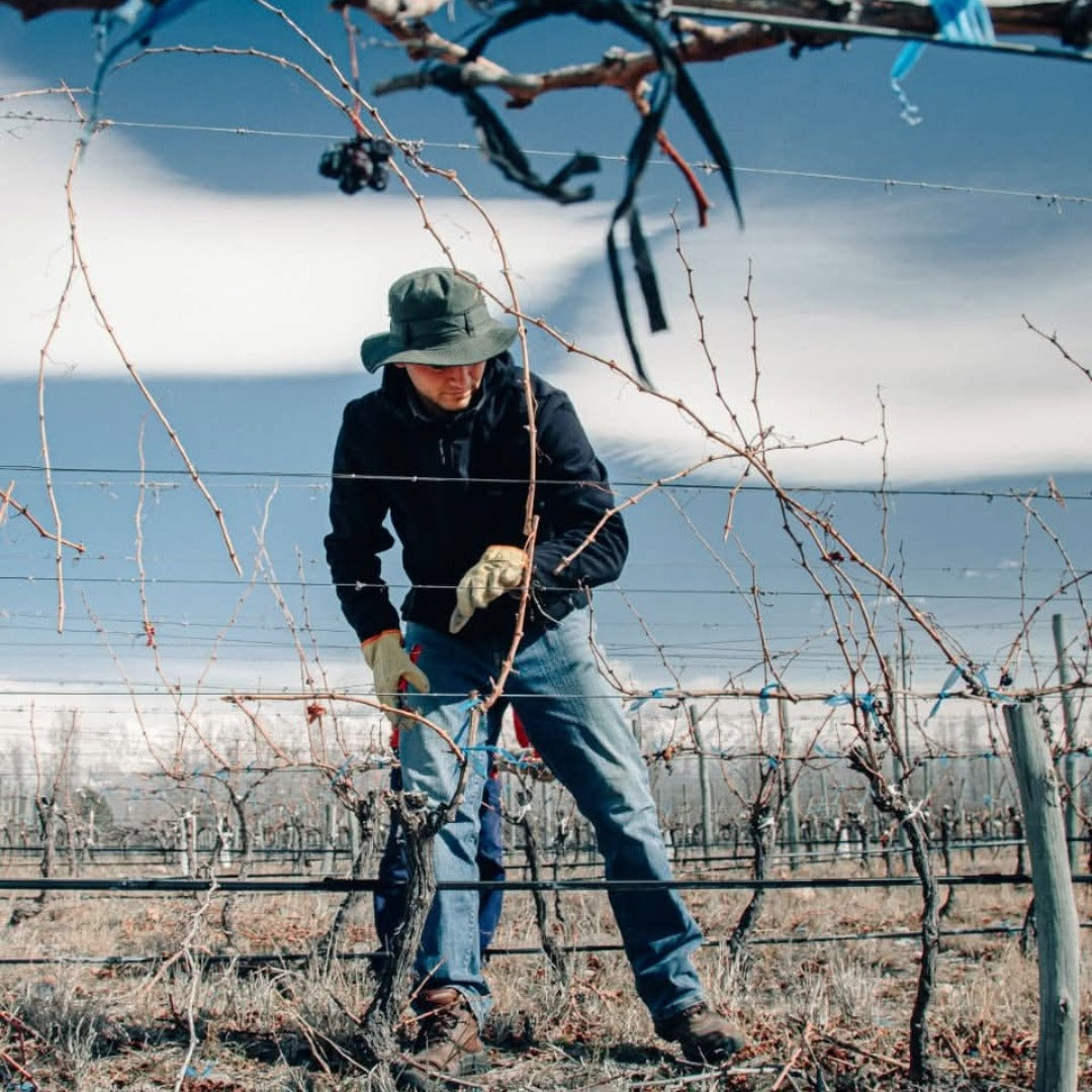 Finca Los Primos Chenin Blanc/Torrontes