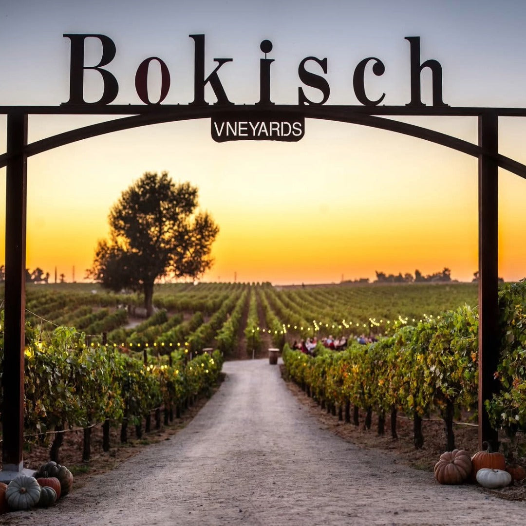 Bokisch Terra Alta Vineyard Graciano