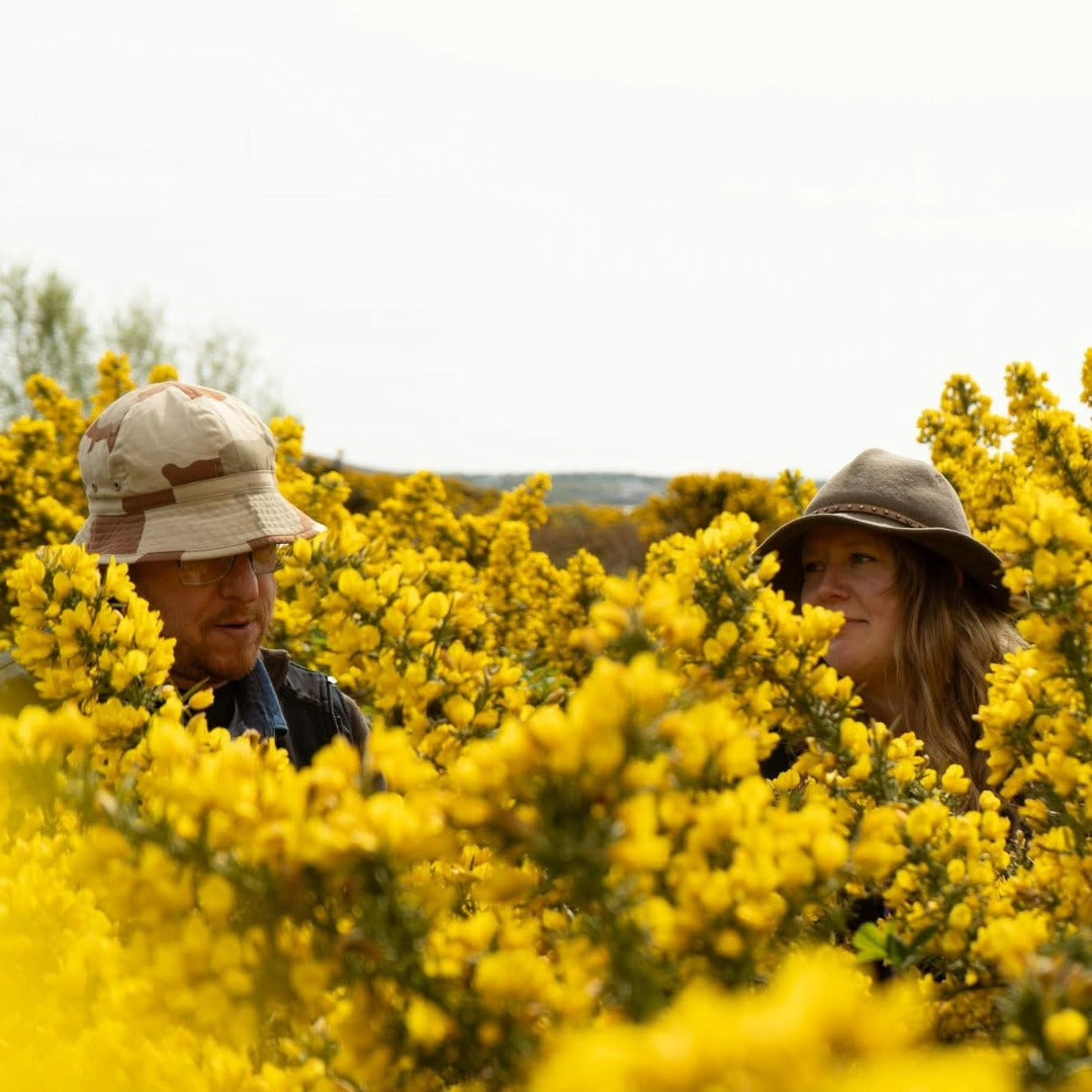 20cl Botanist Islay Gin