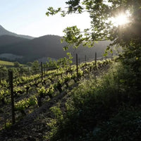 Les Amis De La Bouissiere