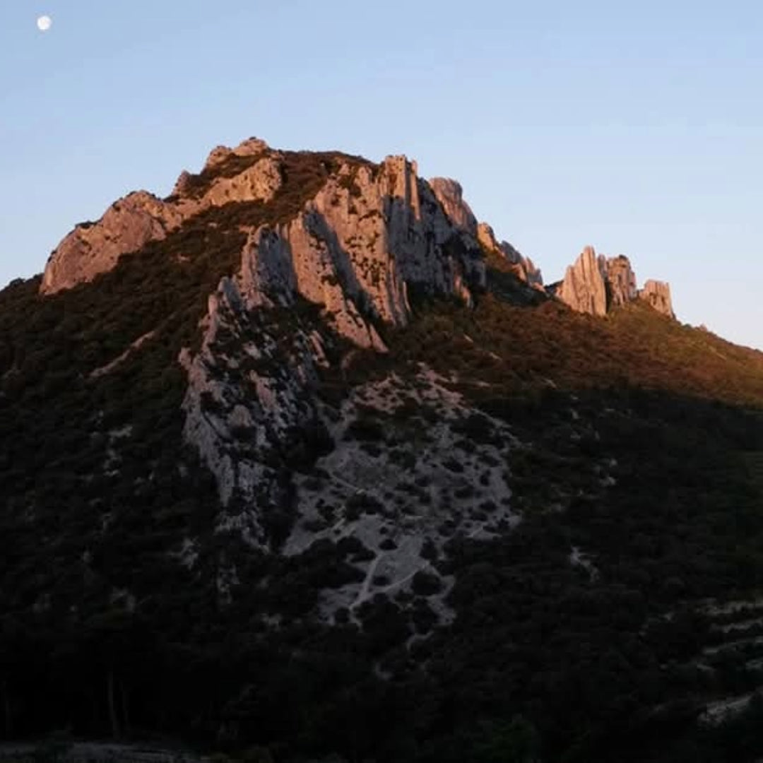 Les Amis De La Bouissiere