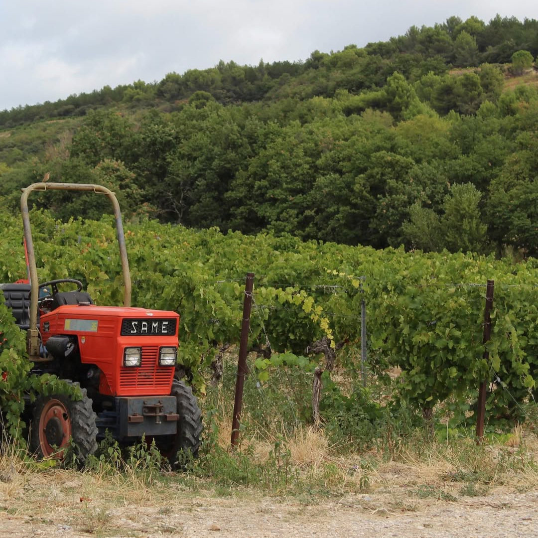Boutinot Les Cerisiers Rose Cotes du Rhone-Villages