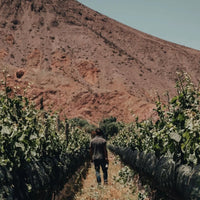 Bressia Monteagrelo Malbec