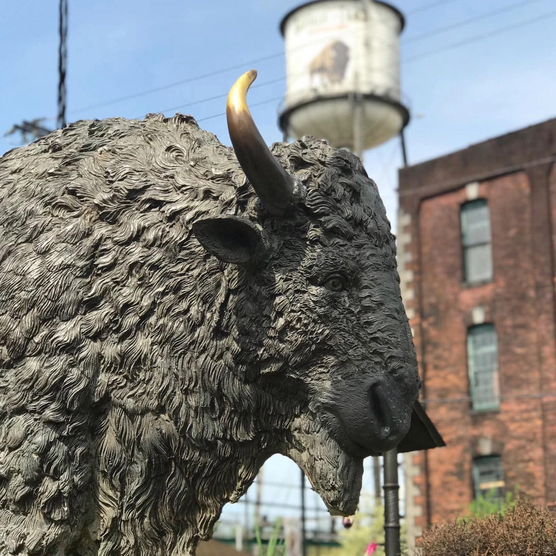 Miniature Buffalo Trace