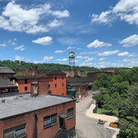 Miniature Buffalo Trace