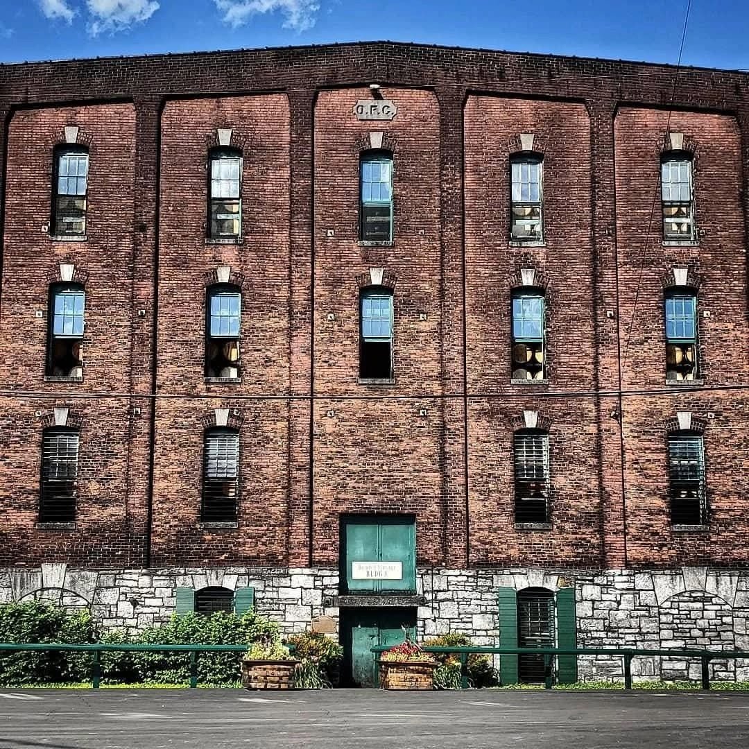 Miniature Buffalo Trace