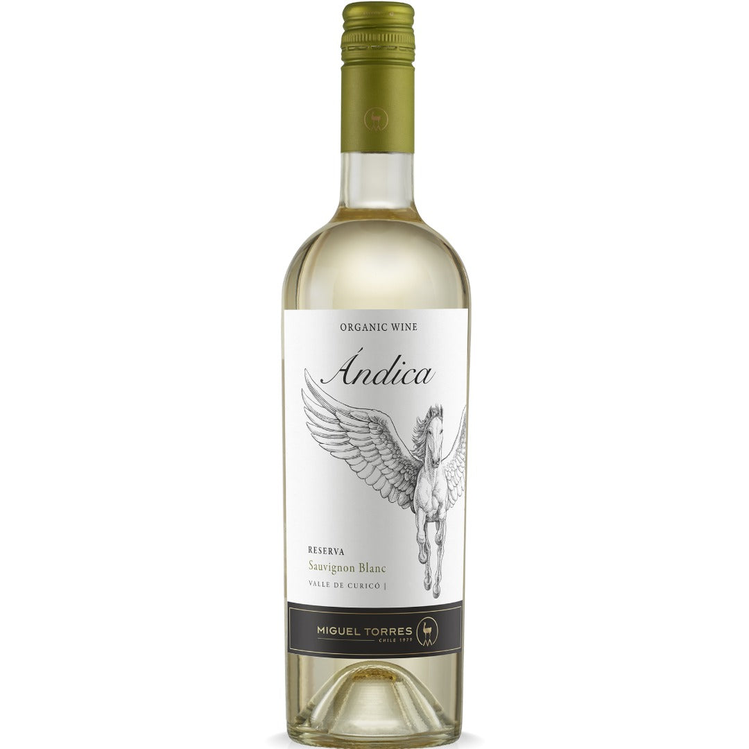 Torres Andica Gran Reserva Sauvignon Blanc