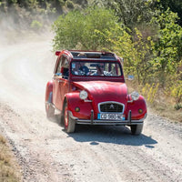 Ams Tram Gram Le Roi Cinsault