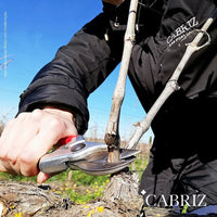 Cabriz Metodo Classico Bruto