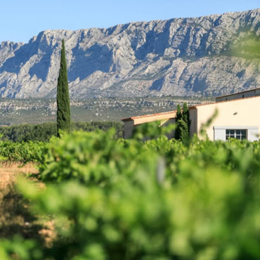 Famille Negrel Horizon Rose IGP Mediterranee