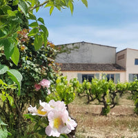 Famille Negrel Horizon Rose IGP Mediterranee
