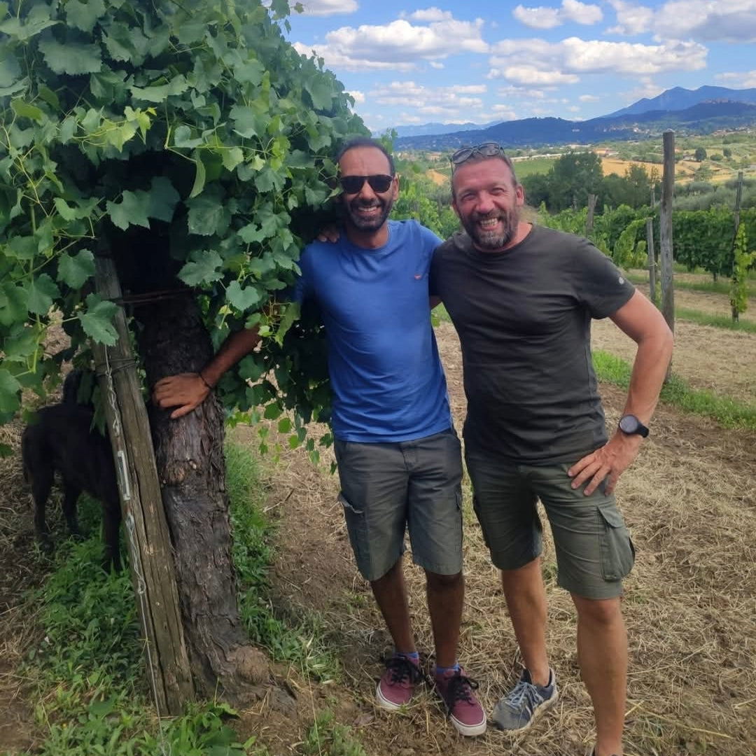 I Capitani Guaglione Aglianico Irpinia DOC