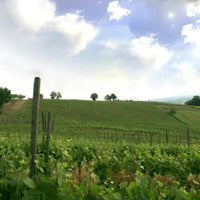 I Capitani Guaglione Aglianico Irpinia DOC