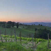 I Capitani Guaglione Aglianico Irpinia DOC