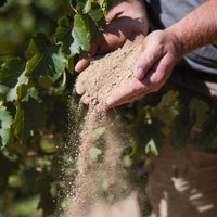 Chamonix Greywacke Pinotage