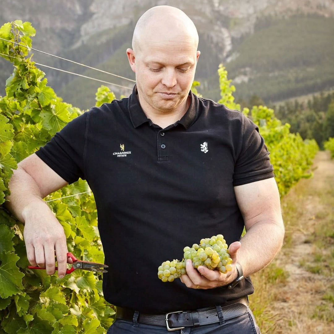 Chamonix Greywacke Pinotage