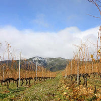 El Cigala Bierzo Godello