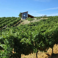 El Cigala Bierzo Godello
