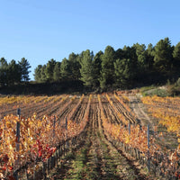 El Cigala Bierzo Godello