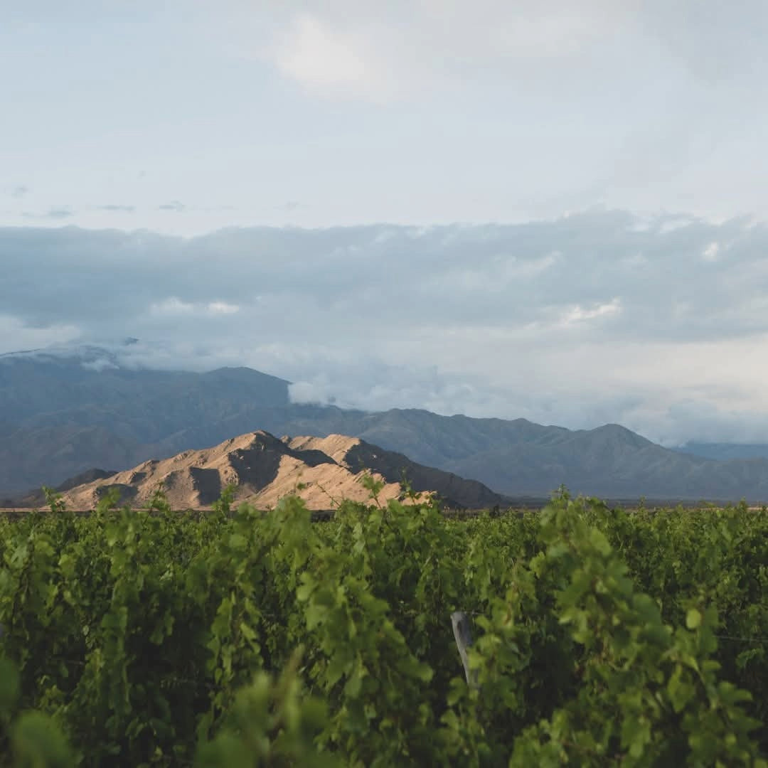 Bodega Colome Estate Malbec