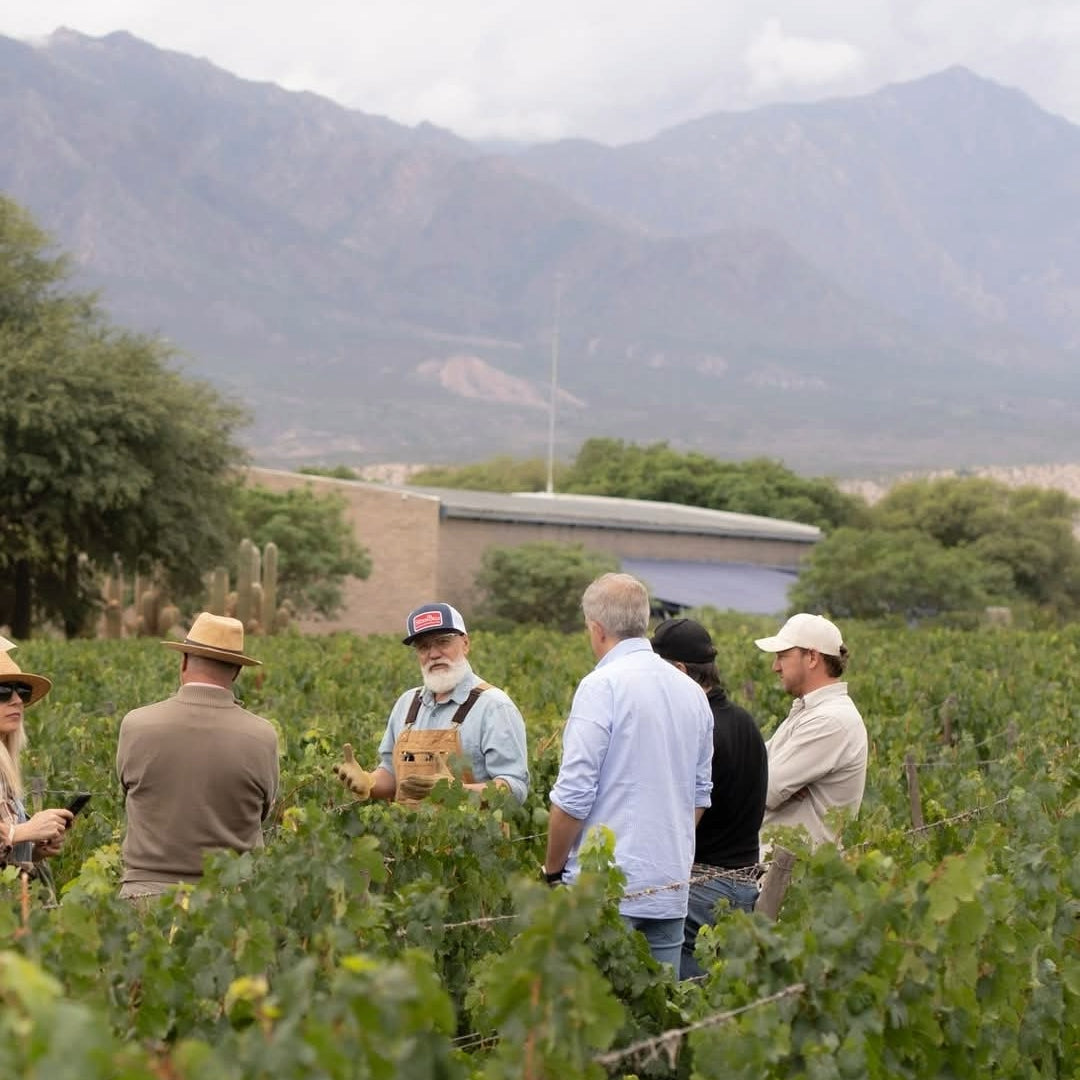 Bodega Colome Estate Malbec