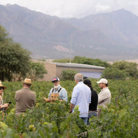 Bodega Colome Estate Malbec