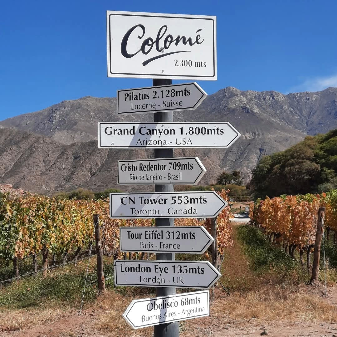 Bodega Colome Estate Malbec