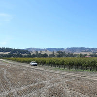 Corryton Burge Percival Norman Barossa Shiraz