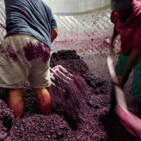 Bon Courage Estate Pinotage