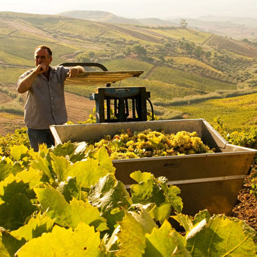 Curatola Arini Marsala Secco