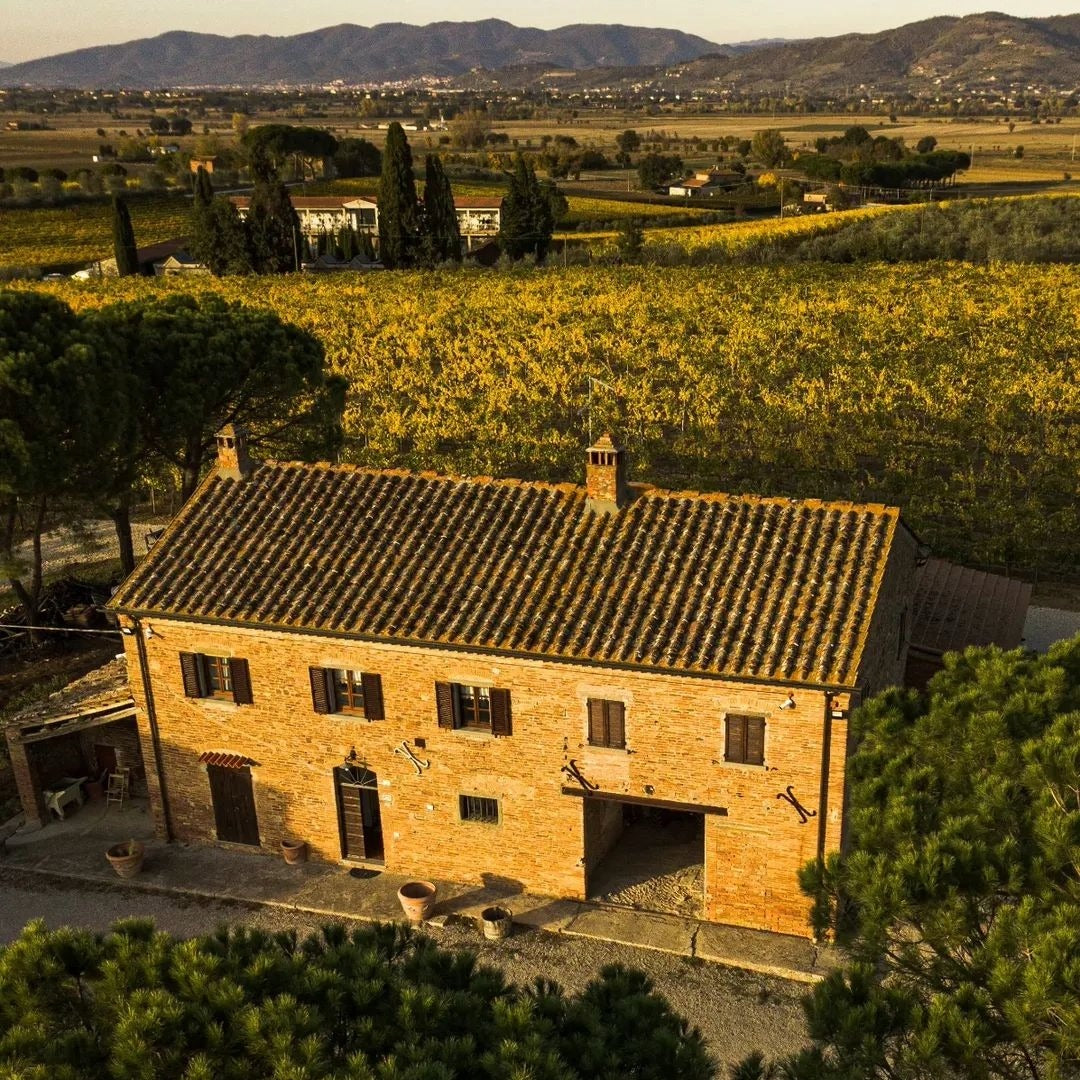 Tenuta Montecchiesi Miraly Tosacana Rose