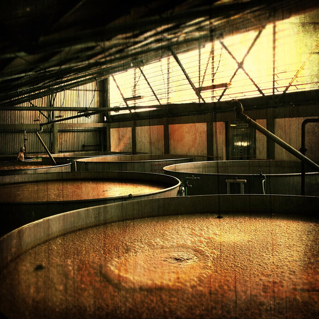Diplomatico Planas Rum