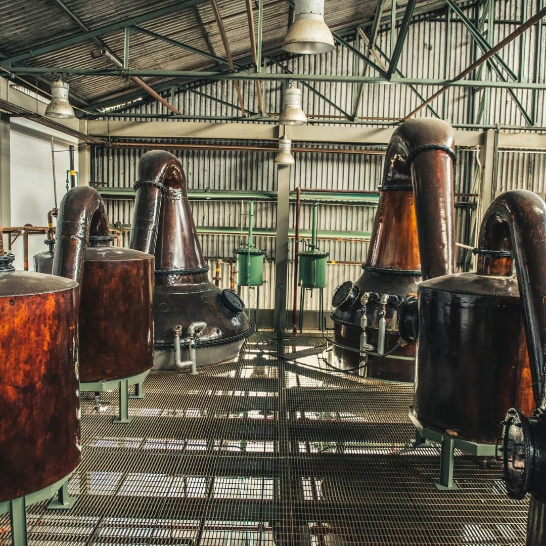 Diplomatico Planas Rum