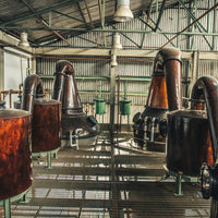 Diplomatico Planas Rum