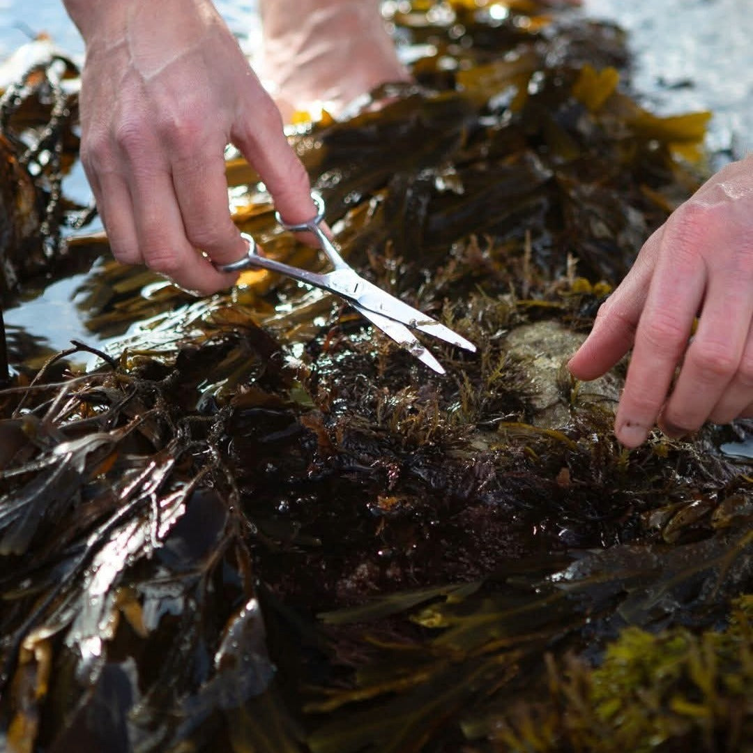 Downpour Sloe & Bramble Gin