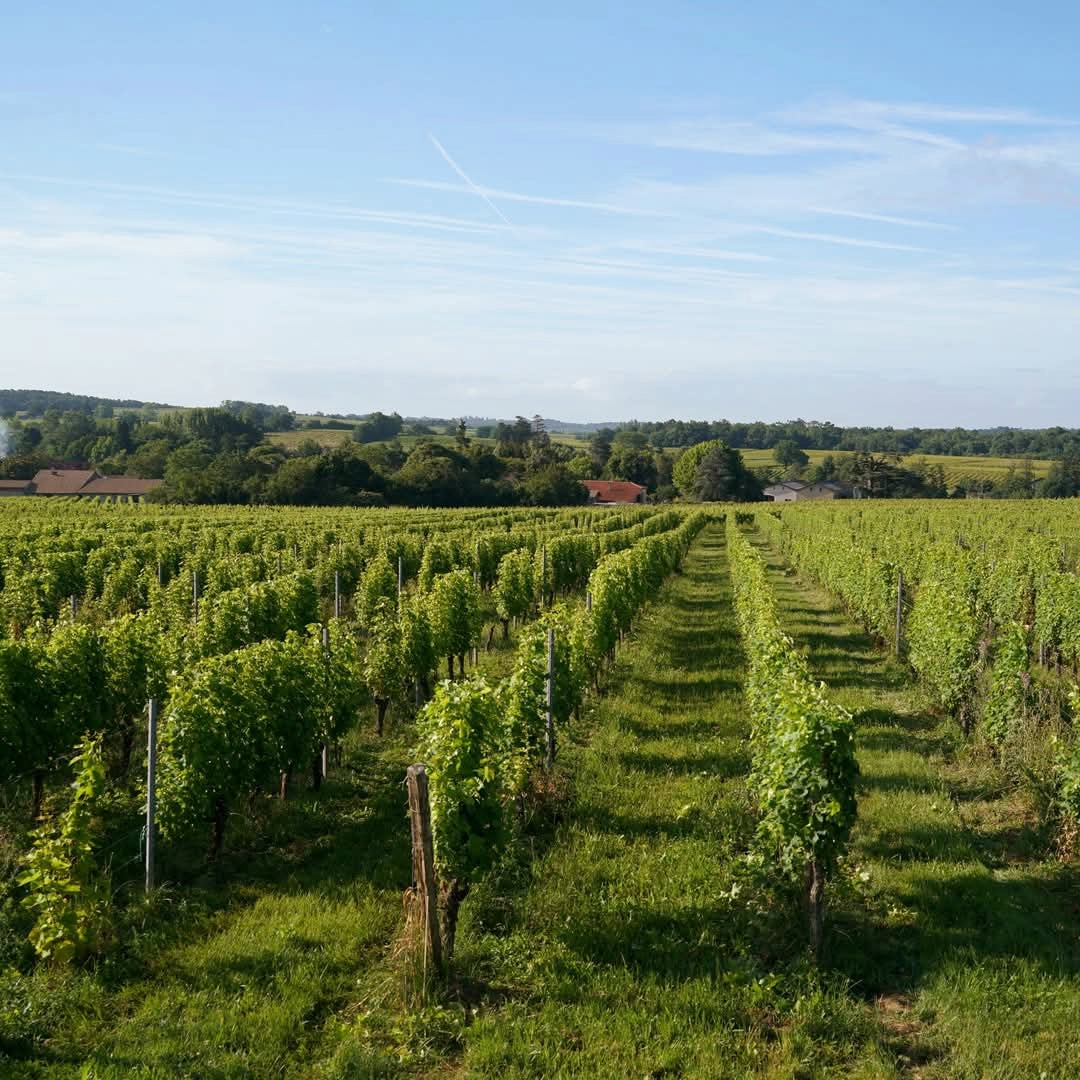 Chateau La Rose Du Pin Entre-Deux-Mers