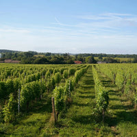 Chateau La Rose Du Pin Entre-Deux-Mers
