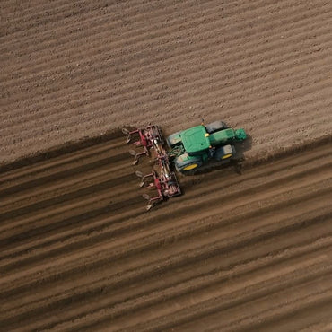 Edwards 1902 Elderflower Liqueur